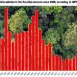 Brazil ETF Plunges on Domestic Tax Reform Turmoil