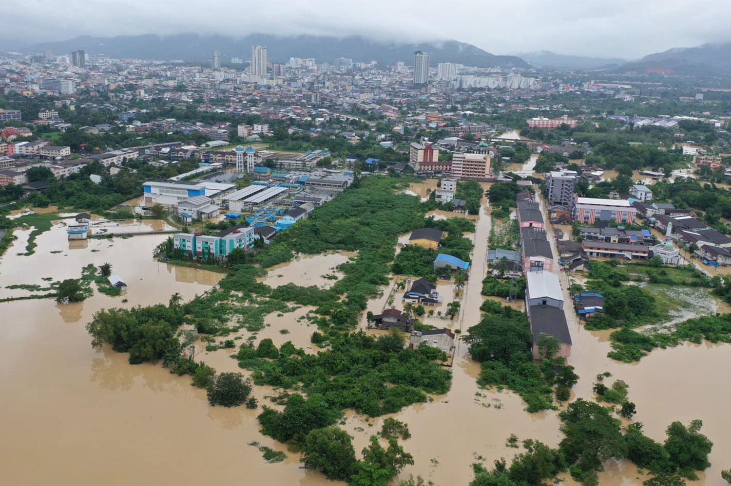 Songkhla Floods Strand Nearly 500, Devastate Pig Farms