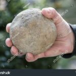 Man Holding Stone for Years Discovers It’s a Treasure