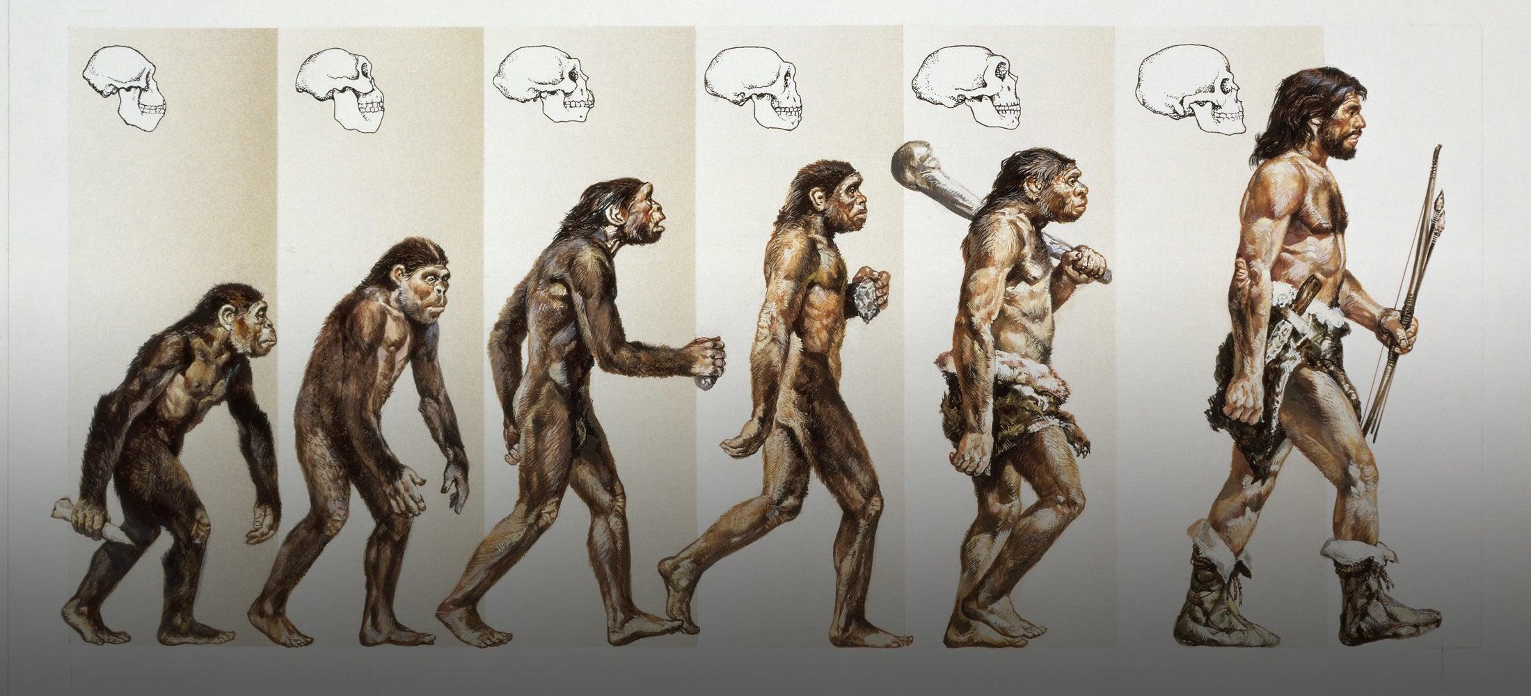 Ancient Human DNA Found in Modern Humans Reveals Mysterious Lineage