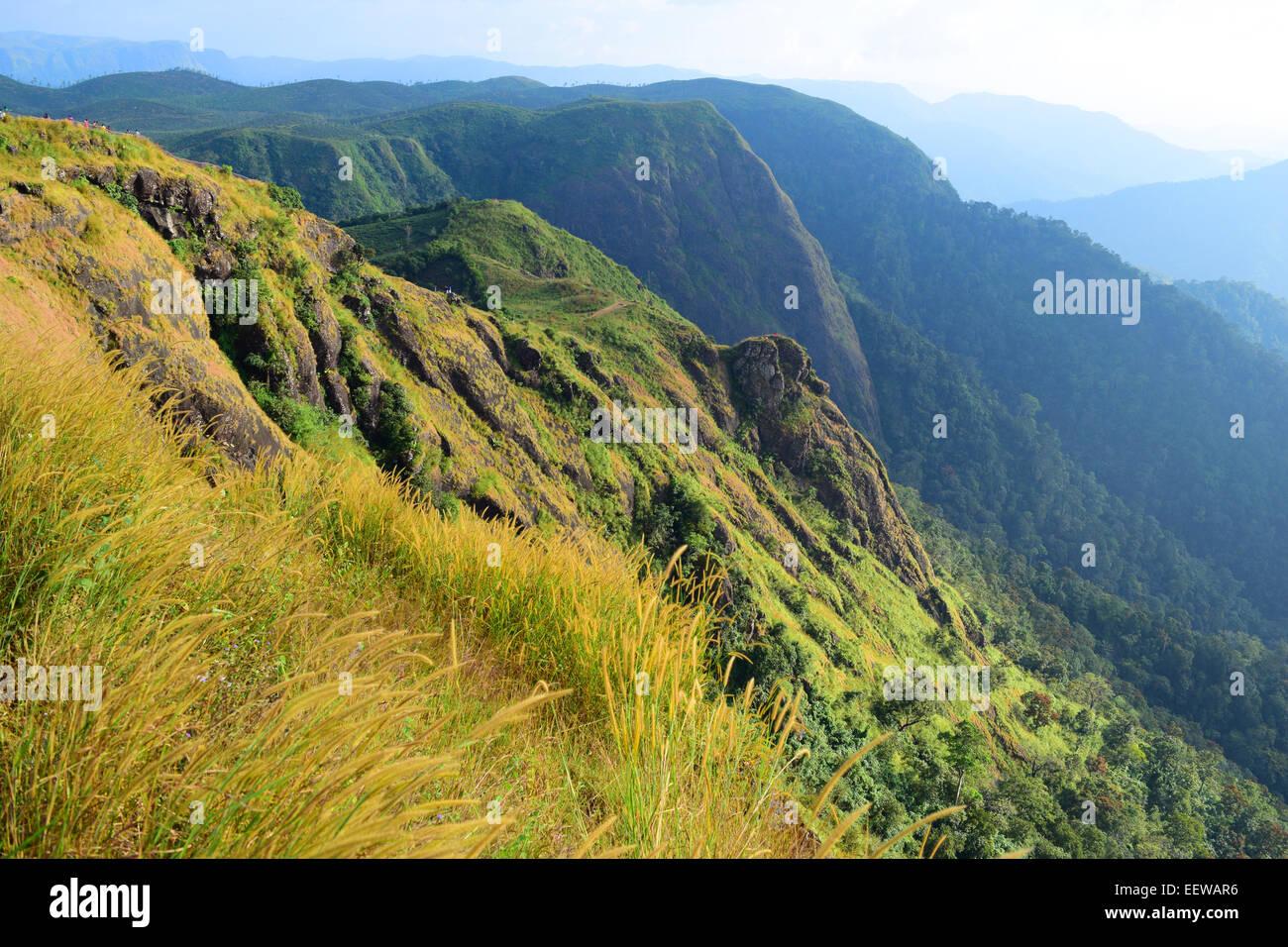 Idukki’s Scenic Hairpin Bends Now Open to the Public