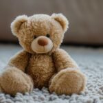 Cuddly Bear Brings Joy to Seriously Ill Children in Nijmegen