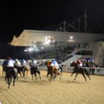 Dundalk Races: 18:30 Handicap & Gift Voucher Offer