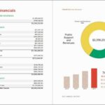 ESIP Management Report SAS ESP 2024: Key Insights on Expansion, Maintenance, and Customer Service