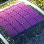 Organic Solar Cells Achieve Toxin-Free Breakthrough