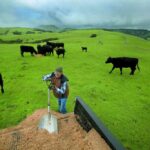 Ranchers Sue to Stop Point Reyes Elk Fence Removal