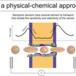 Nanopore Sensitivity Boosted for Early Disease Detection