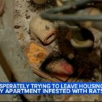 NYC Apartment Infested With Roaches Months After Deadly Discovery