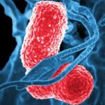 Deadly ‘Klebsiella oxytoca’ Outbreak Kills 13 Children in Mexico