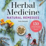 Herbal Remedies for a Healthy Winter