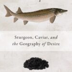 The Philosopher Fish’ Wins Oddest Book Title of the Year