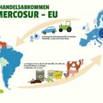 EU-Mercosur Deal: Impact on Argentina and Entry into Force Expectations