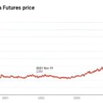 Cocoa Prices Surge Past US,000 per Tonne