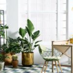 30 Plants Trend: Repackaged Advice or Green Thumb Gold?