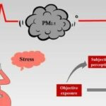 Smog and Stress: How Air Pollution Impacts Mental Health