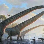 Dinosaur Dung Reveals Secrets to Their Success