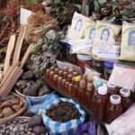 Traditional Medicine Thrives in Hanoi: A Timeless Remedy