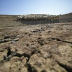 Earth’s Drying Land: An Existential Threat to Billions