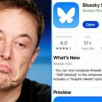 Elon Musk’s Bluesky Disclosure Sparks Alarms: Uncovering the CEO’s Crime in the US