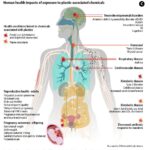 Microplastics in Human Blood: Alarming Links to Altered Coagulation Markers Uncovered