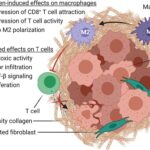 Collagen’s Role in Cancer Metastasis: GIST Researchers Reveal the Betrayal