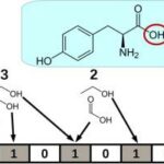 Molecular Fingerprint’ of Cancer: Revolutionizing Early Detection