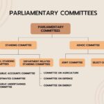 Parliamentary Commission Launched to Investigate Plague and Smallpox Outbreaks in Small Ruminants