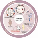 Harnessing Exosomes for Effective Therapeutic Protein Delivery