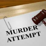 Murder and Attempted Murder Shock Gjerdrum: A Community in Turmoil