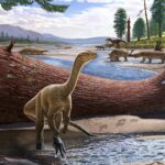 200 Million-Year-Old Dinosaur Fossil Poop Unlocks Secrets of Earth’s Dominance