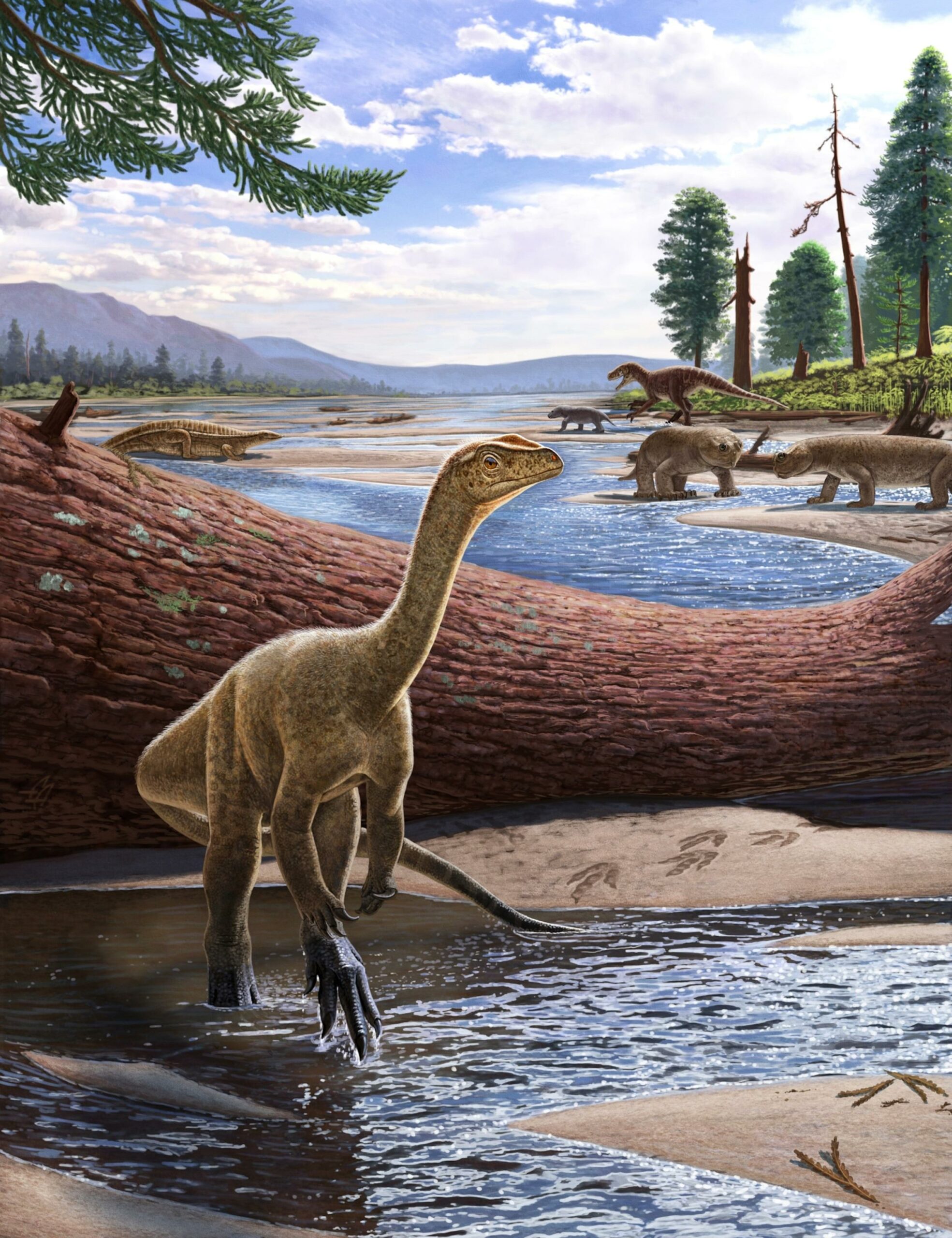 200 Million-Year-Old Dinosaur Fossil Poop Unlocks Secrets of Earth’s Dominance