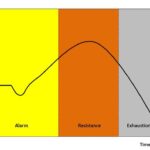 Alarm Phase at Bar Arrives Late: No Hope for Viewership Growth in TV Shows